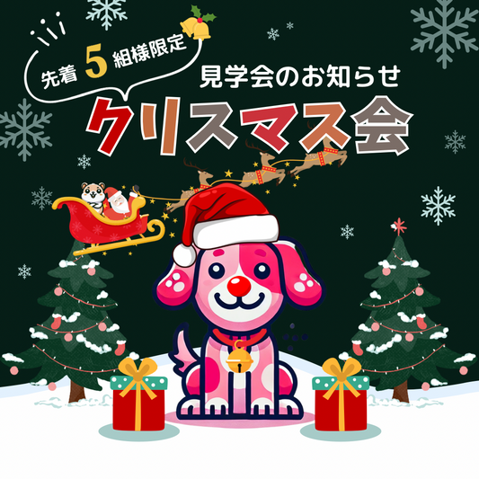 【見学会のお知らせ】先着5組様・クリスマス会へご参加いただけます🎄