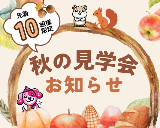 【お知らせ】秋の見学会を開催します⭐️(10組様限定)