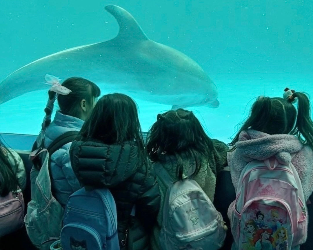 【課外活動】神戸須磨シーワールドに行こう🐬